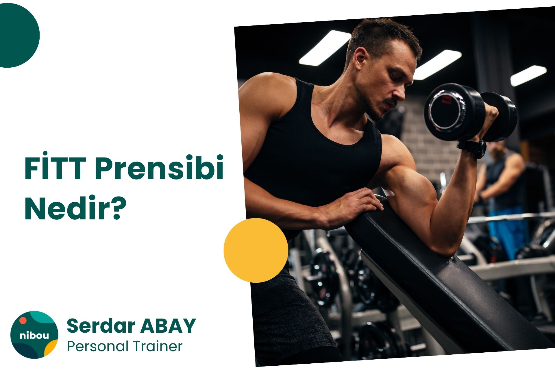 FİTT Prensibi Nedir?