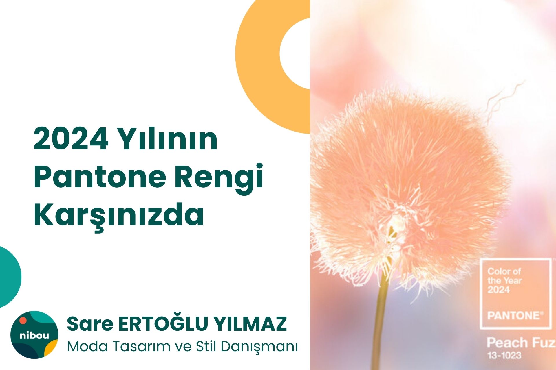 2024 yılının Pantone Rengi karşınızda