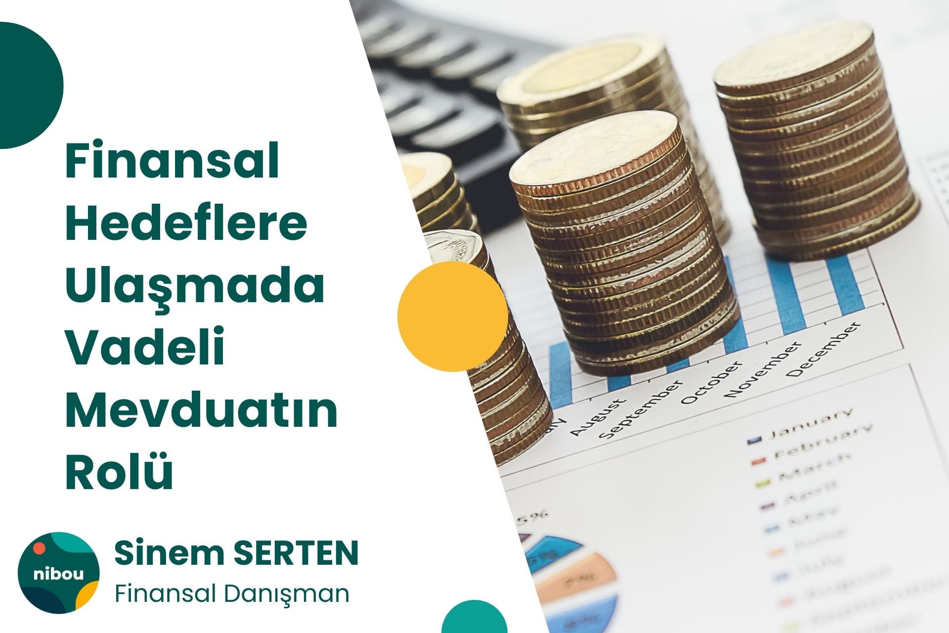 Finansal Hedeflere Ulaşmada Vadeli Mevduatın Rolü
